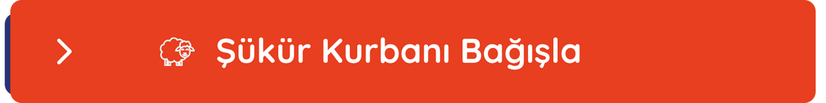 Şükür Kurbanı Bağışı