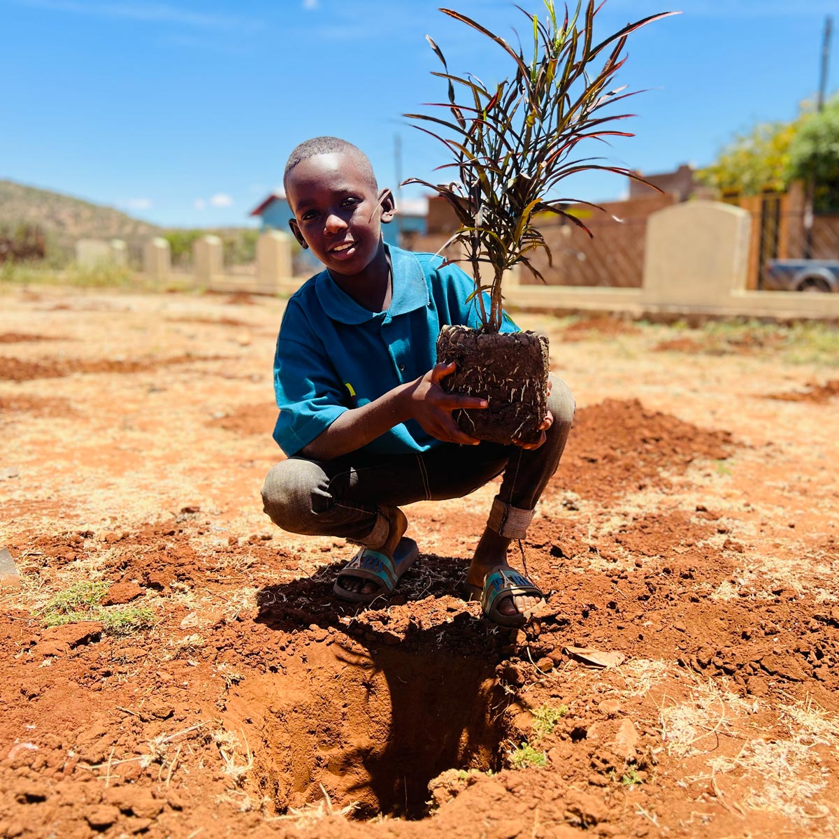 A child in Africa waiting to plant their tree A child in Africa waiting to plant their tree