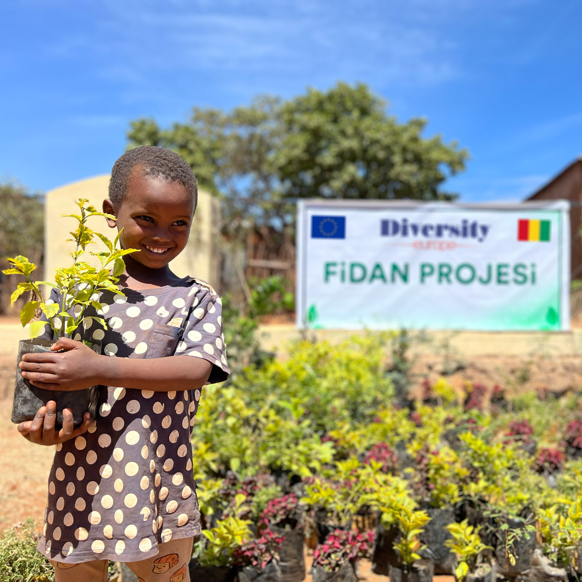 A child in Africa holding a sapling A child in Africa holding a sapling