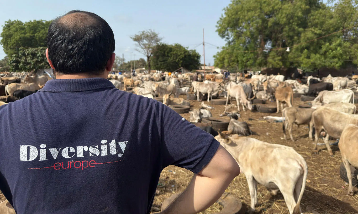 Vow Sacrifice Africa